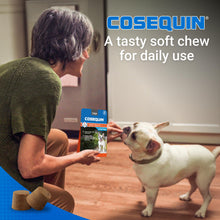Load image into Gallery viewer, Nutramax Laboratories Cosequin Plus MSM &amp; Boswellia Mini Sized Soft Chews

