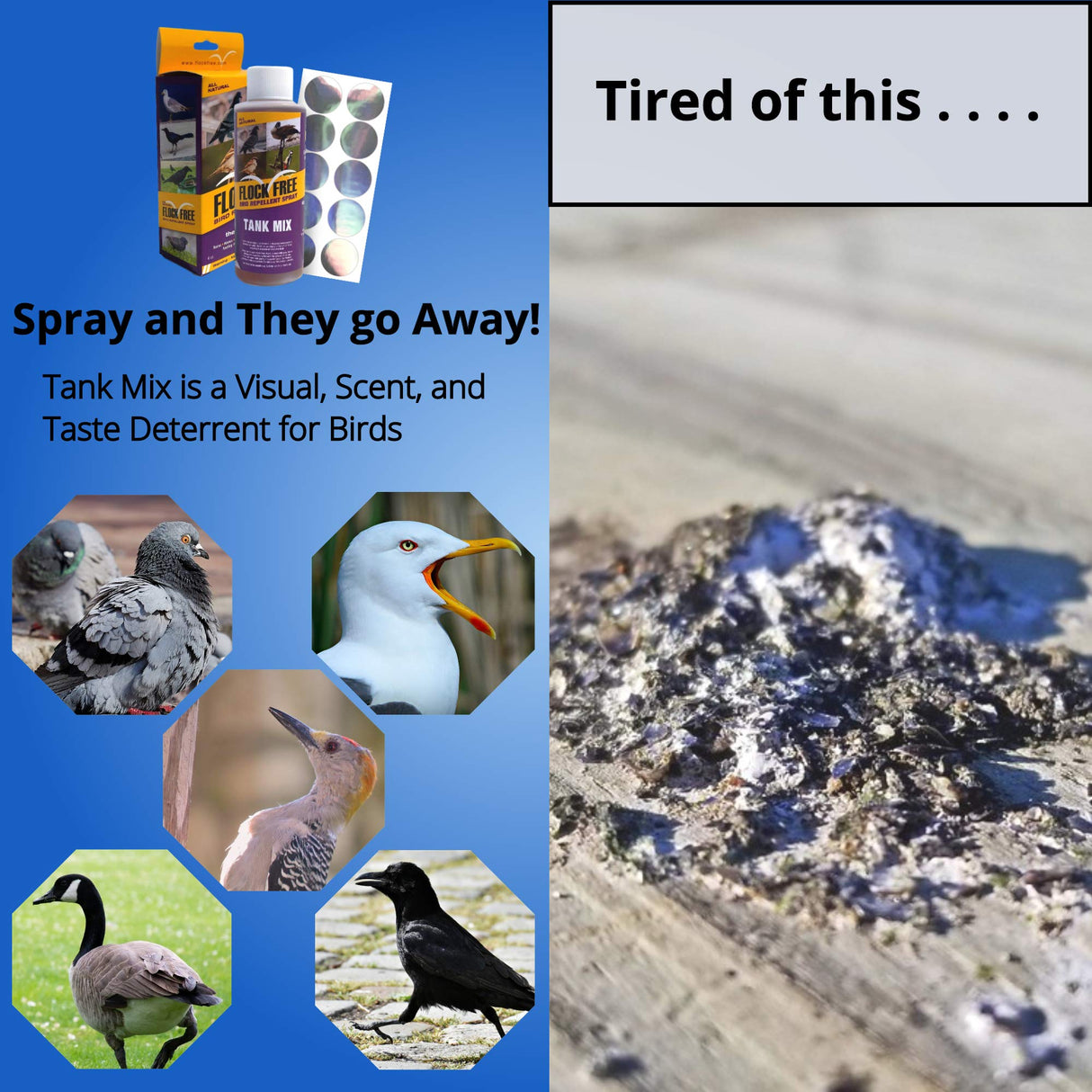 Bird Repellent Spray, Residential Bird Problem Solution by Flock Free Bird Control, 4 oz Concentrate