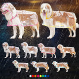 Pet Raincoat - Multi-Color Trim Transparent Waterproof Dog Rainwear, Large Dog Golden Retriever Labrador Rain Jacket for Outdoor Walks