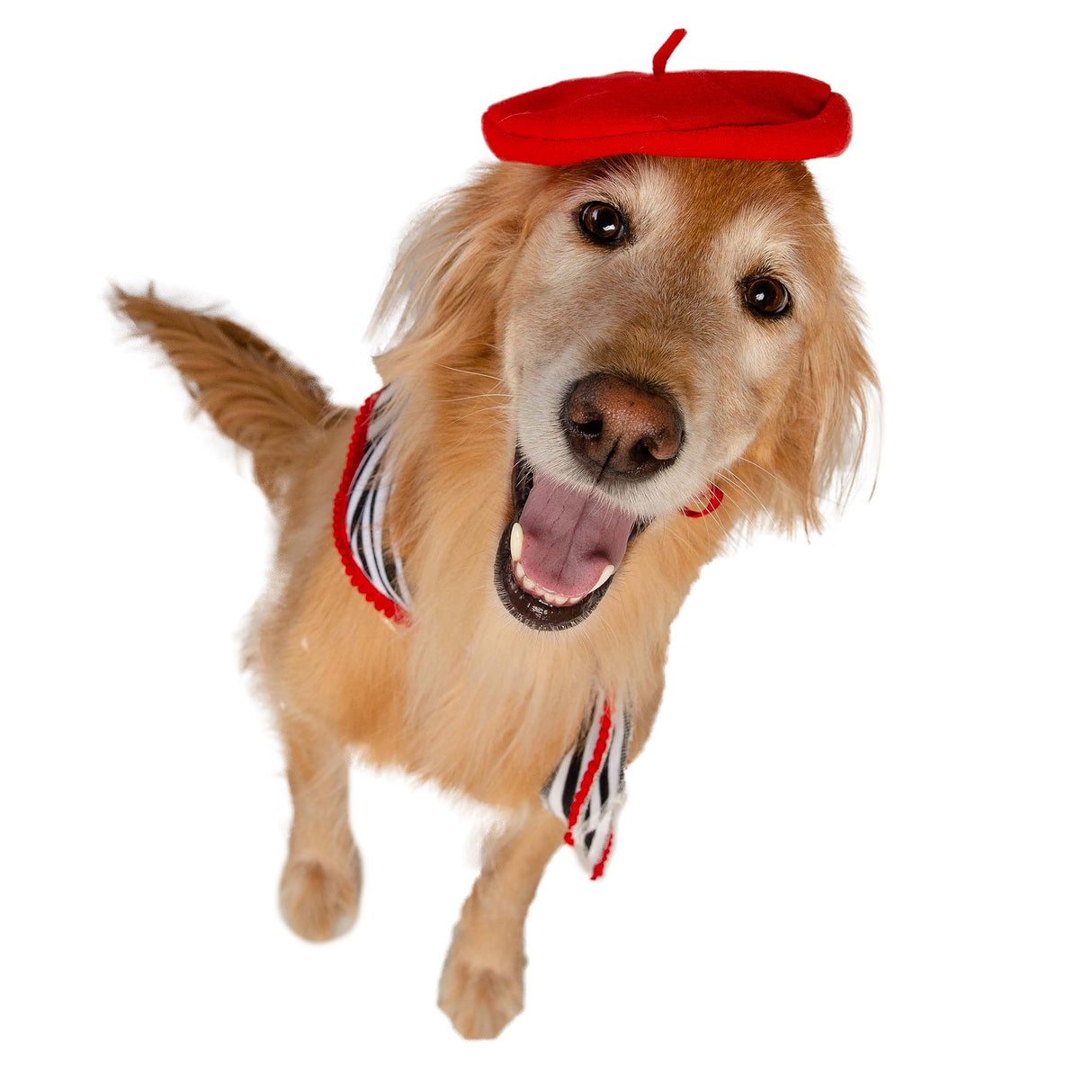 French Beret & Scarf Pet Costume - Two Piece Beret & Scarf Set - Dog & Cat Costume - One Size