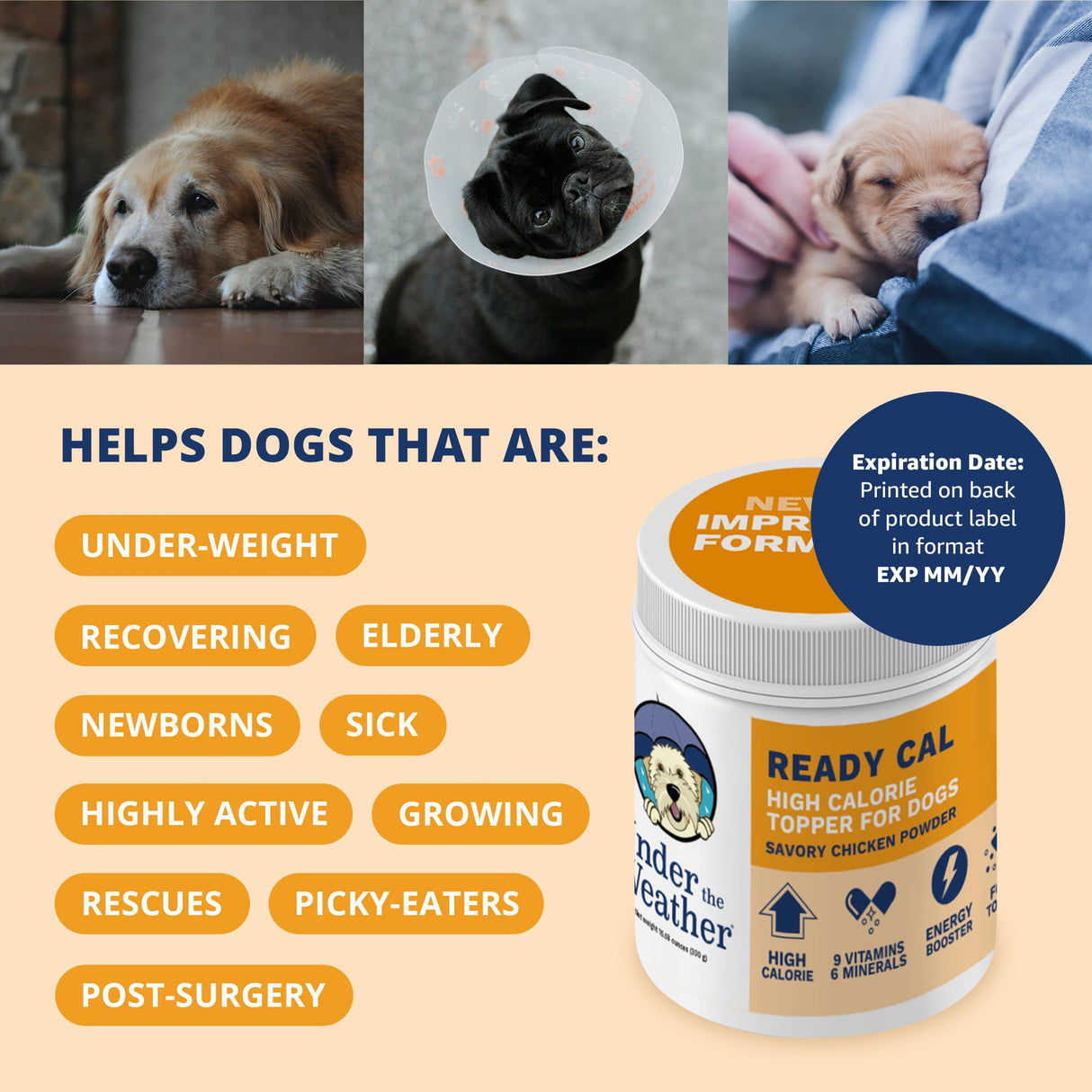Under the Weather Ready Cal Powder for Dogs, High-Calorie Weight Gainer & Appetite Stimulant, Dog Energy Booster Veterinarian-Approved Pet Supplement with Vitamins & Minerals, Chicken Flavor |10.58 oz
