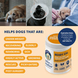 Under the Weather Ready Cal Powder for Dogs, High-Calorie Weight Gainer & Appetite Stimulant, Dog Energy Booster Veterinarian-Approved Pet Supplement with Vitamins & Minerals, Chicken Flavor |10.58 oz
