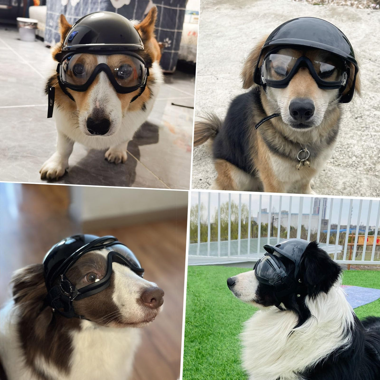 Billionchains Dog Goggles and Helmet Set - Anti-dust UV Protection Sunglasses, Durable Motorcycle Helmet With Ear Hole, Adjustable Pet Glasses for Medium to Large Dogs/Clear