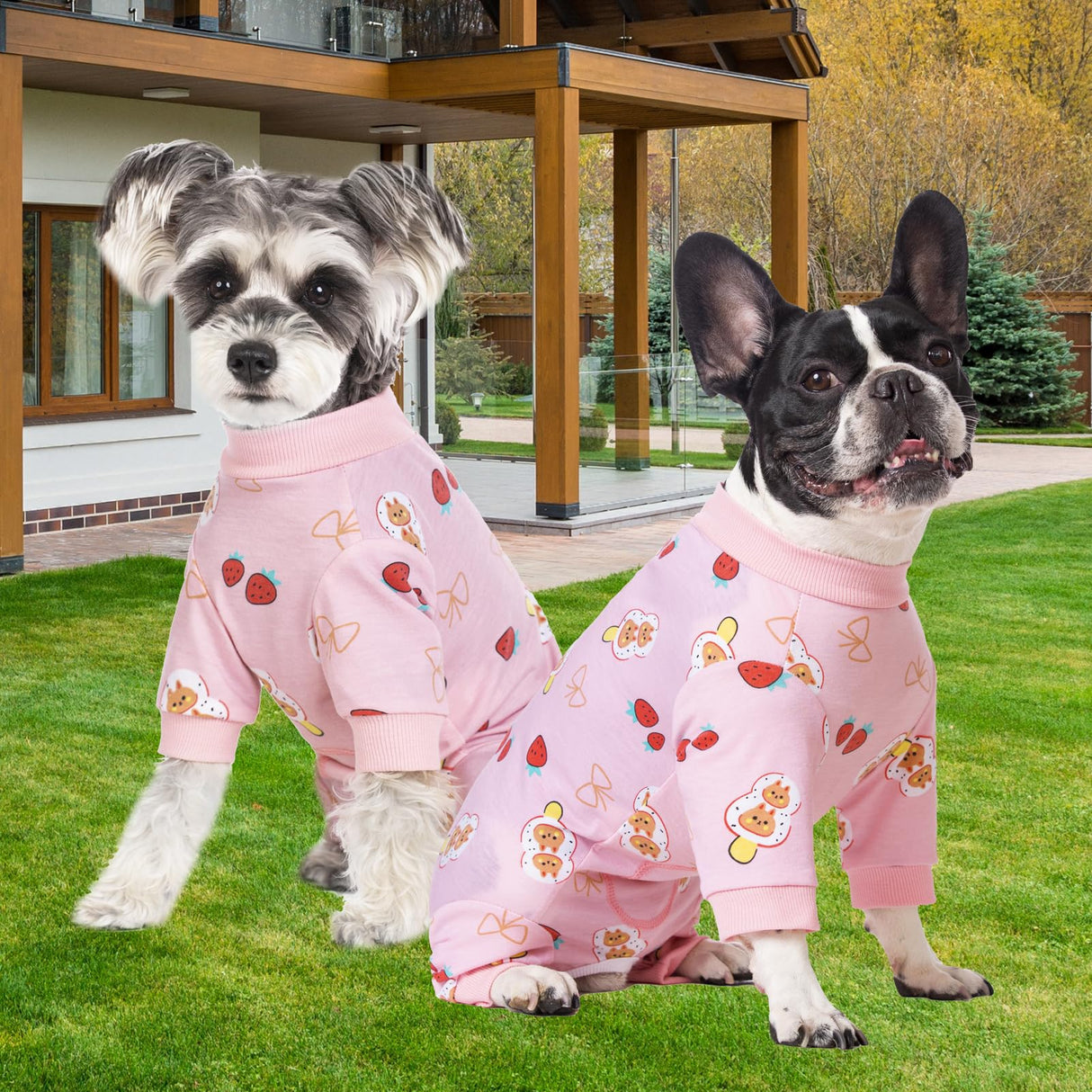 Dog Surgery Recovery Suit, Dog Onesie for Surgery Female Male Dogs, Dogs Pajamas Long Sleeve, Small Dogs Onesie, Abdominal Wound Bandages Surgical Suit, Cat Recovery Suit for Shedding Skin Disease