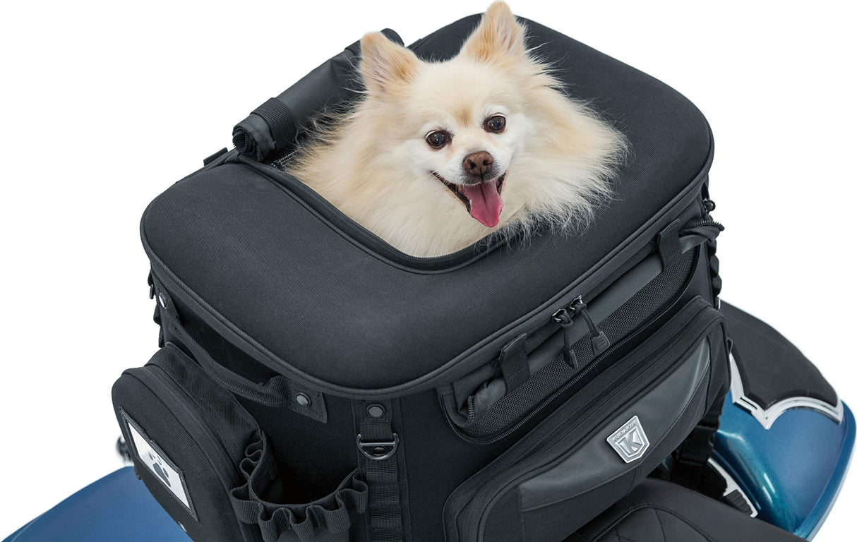 Kuryakyn 5288 Grand Pet Palace: Portable Weather Resistant Motorcycle Dog/Cat Carrier Crate for Luggage Rack or Passenger Seat with Sissy Bar Straps, Black 35 lbs Capacity