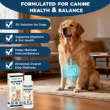 lvermect for Dogs, Dewomax Liquid Digestive Support, Broad Spectrum Formula for Puppies & Adult Dogs – Supports Gut Balance, Internal Cleanse & Canine Wellness – 3.5 oz (100mL)