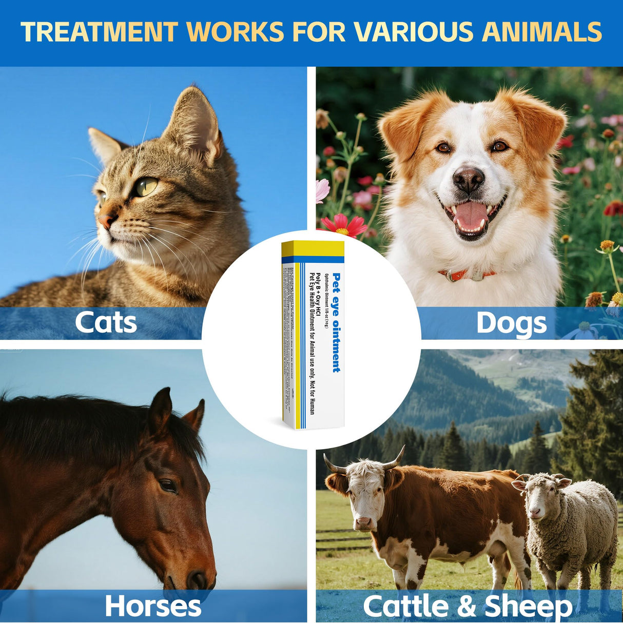 VivaElixir Pet Eye Health for Dogs, Cats, Cattle, Sheep, Horses, Birds and Puppies, Kitten - 1 Tube 0.35 oz /10g