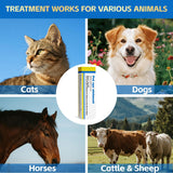 VivaElixir Pet Eye Health for Dogs, Cats, Cattle, Sheep, Horses, Birds and Puppies, Kitten - 1 Tube 0.35 oz /10g