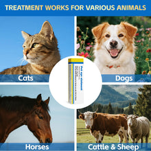 Load image into Gallery viewer, VivaElixir Pet Eye Health for Dogs, Cats, Cattle, Sheep, Horses, Birds and Puppies, Kitten - 1 Tube 0.35 oz /10g
