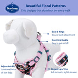 Blueberry Pet Soft & Comfy Made Well Elegant Floral No Pull Mesh Dog Harness Vest in Sleek Black, Chest Girth 17.5"-21", Small, Adjustable Harnesses for Dogs