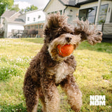 Nom Nom Dog GI-Targeted Probiotic Support - with Prebiotic Fiber, Inulin, and Saccharomyces boulardii - Gut Health Dog Probiotics for Gastrointestinal and Stomach Relief (GI Powder)