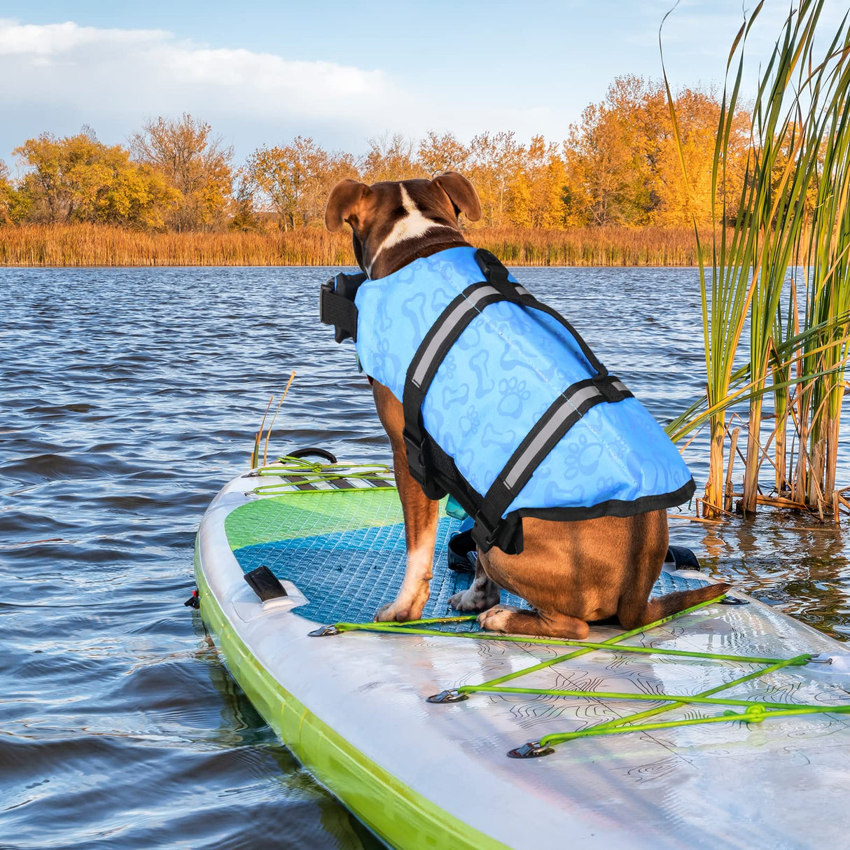 Neween Dog Life Jacket with Reflective Stripes, Adjustable Ripstop Pet Life Vest Lifesaver Preserver with Rescue Handle and High Flotation Swimsuit for Small Medium Large Dog, Blue, Large