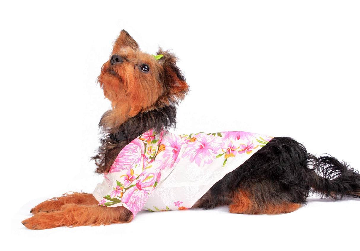 Hawaiian Matching Pattern Dog Aloha Shirt in Pink Hibiscus Vine in White Size Small