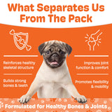 Boneo Canine Maintenance Formula- Lactoferrin-Based Bone and Joint Supplement for Dogs- 90 Ct Chewable Tablets, Liver and Sausage Flavor