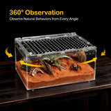 Clioran Large Reptile Terrarium Kit,Escape Proof Tarantula Enclosure,PC Starter Hermit Crab Tank,Spider Habitat for Praying Mantis Cage,Frog Vivarium,Insect House,Lizard Cribs,Leopard Gecko Container