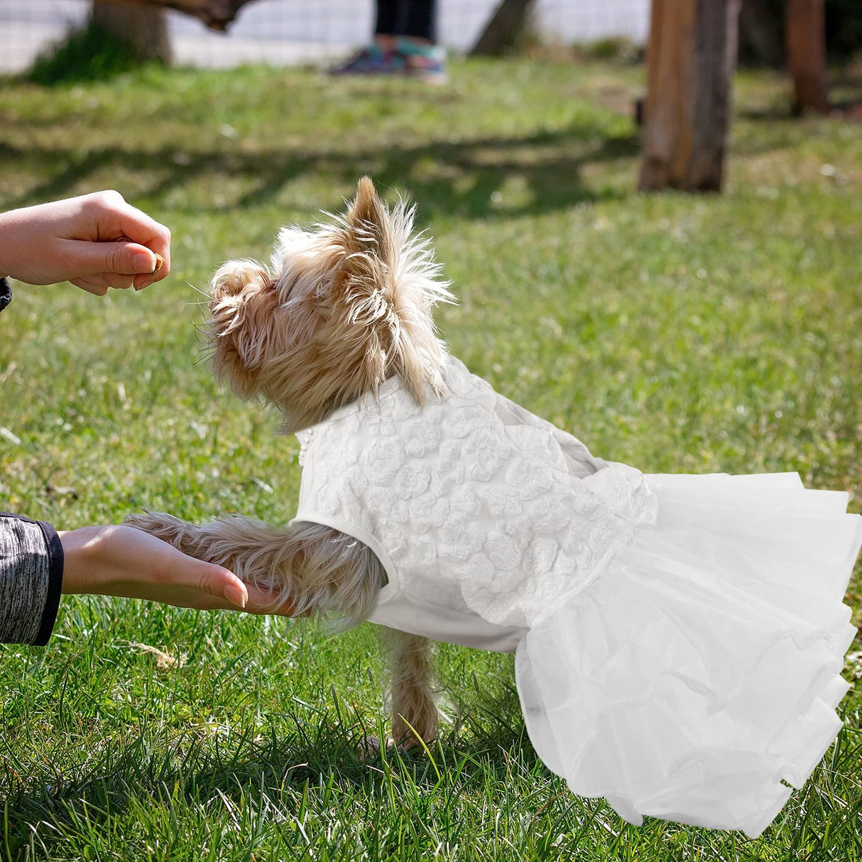 ASENKU Dog Dress, Dog Wedding Dress, Pet Lace Princess Dress with Bows for Wedding Birthday Party, Puppy Formal Apparel with Pearl Necklace for Medium Large Dogs (White, Large)