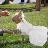 ASENKU Dog Dress, Dog Wedding Dress, Pet Lace Princess Dress with Bows for Wedding Birthday Party, Puppy Formal Apparel with Pearl Necklace for Medium Large Dogs (White, Large)