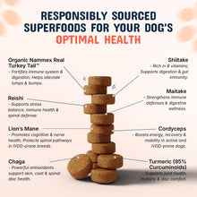 Load image into Gallery viewer, 2-Pack Turkey Tail Mushroom for Dogs with Organic Real Turkey Tail™ - 8:1 Extract Mushroom Chews for Lumps &amp; Bumps, Immunity, Gut, Skin, Joint &amp; Spine Support - Reishi, Lion’s Mane - 120 Soft Chews
