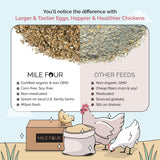Mile Four Organic Chicken Feed – Starter Chick Mash, Non-GMO, USA Grown, 21% Protein, Corn-Free, Soy-Free, Non-Medicated Chick Feed, 2 lb Sample