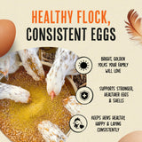 Roosty's Gold Dust Daily Egg Booster - Golden Yolks and Stronger Shells - All Natural Omega-3 Rich - US Made Chicken Supplement - Chicken Health Supplies