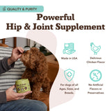 Natural Dog Company Hip & Joint Supplement for Dogs – Supports Mobility, Flexibility & Comfort, Glucosamine, Chondroitin, MSM & Turmeric, Chicken Flavor, 90 Count