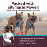 K9 Select Milk Thistle for Dogs, 100mg - 60 Vegetable Capsules - Canine Liver Health Milk Thistle Supplement - Milk Herbal