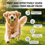 WagLabs Anti Itch Med for Dogs, 60 Capsules, Immune & Gut & Digestive Support Chews for Dogs (1)