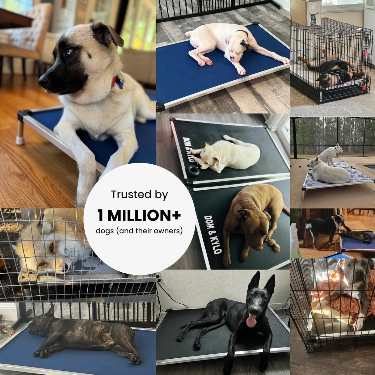 K9 Ballistics Chew Proof Elevated Outdoor Cooling Cot Bed for X Large Dogs - Virtually Indestructible, Preassembled, Withstands Aggressive Chewers - XL, Ripstop Obsidian Black