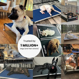 K9 Ballistics Chew Proof Elevated Outdoor Cooling Cot Bed for X Large Dogs - Virtually Indestructible, Preassembled, Withstands Aggressive Chewers - XL, Ripstop Obsidian Black