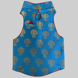 Waggy Fits Traditional Dog Sherwanis - Perfect for Weddings and Celebrations, Dog Clothes, pet cosutme, Indian pet Clothing, | Blue Dhamaka (5XL)