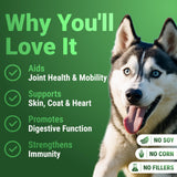 WuffWell Super Greens Powder for Dogs – Spirulina, Chlorella, Moringa, Glucosamine & Turmeric – Joint, Immune & Skin Support – Beef Flavor – Natural Dog Supplements – Vet Approved – Made in USA