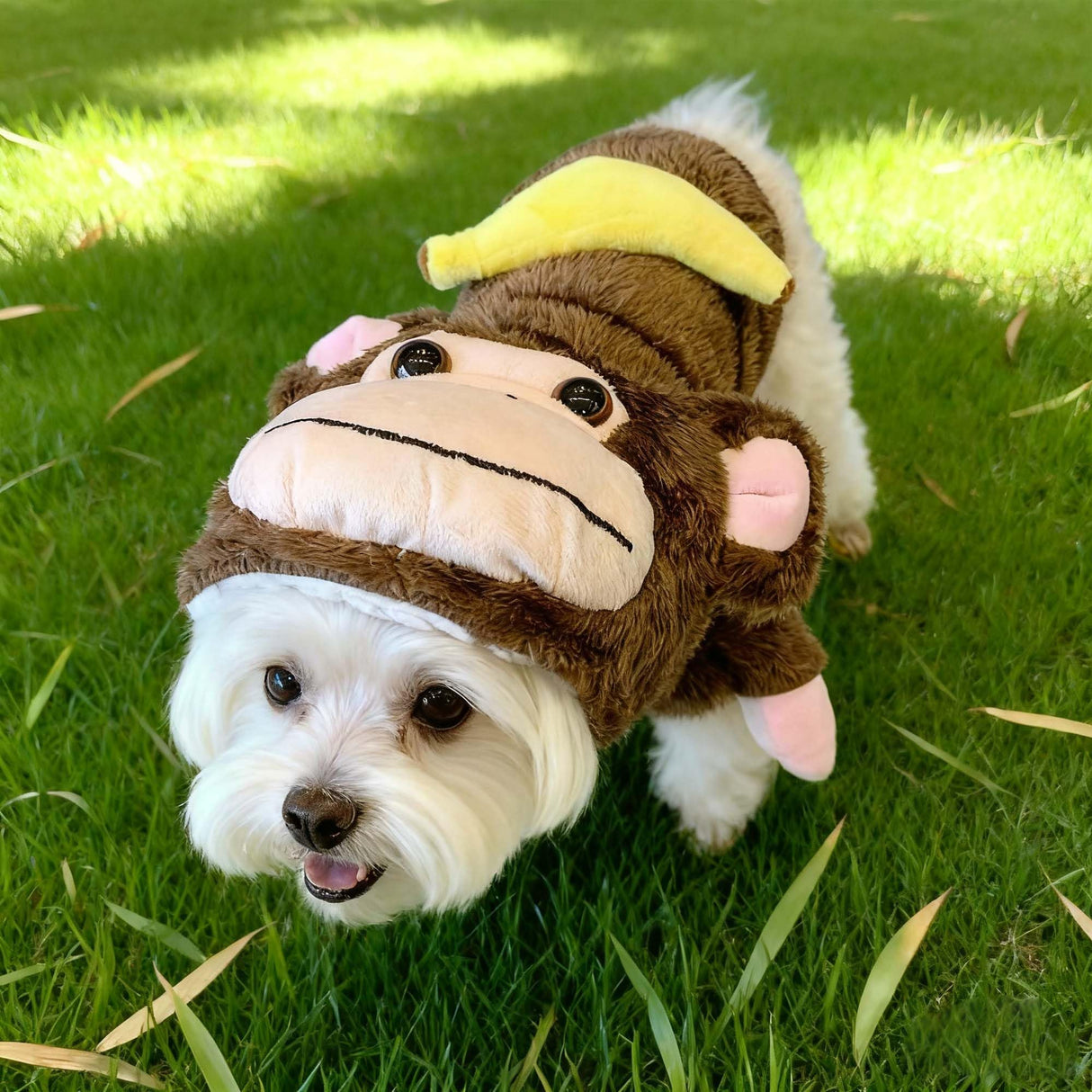 Monkey Halloween Costume Outfits for Small Dog Funny Pet Coat Jacket Clothes in Cold Weather (S(Pet 6-10LBS), Brown Monkey)