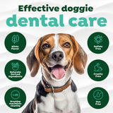TropiClean Fresh Breath Toothbrush and Toothpaste Kit for Dogs, Teeth Cleaning Kit for Plaque & Tartar Removal, Breath Freshener, Dog Dental Care