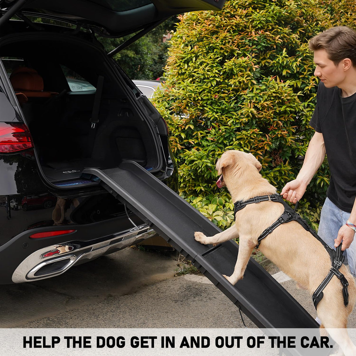 COODEO Mobility Dog Lift Harness, Support Sling & Walking Sling for Dogs, Pet Rear Leg Rehabilitation Support Vest, Dog Carrier for Senior Dogs with Joint Injuries, Arthritis, Up Stair (Black, XL)