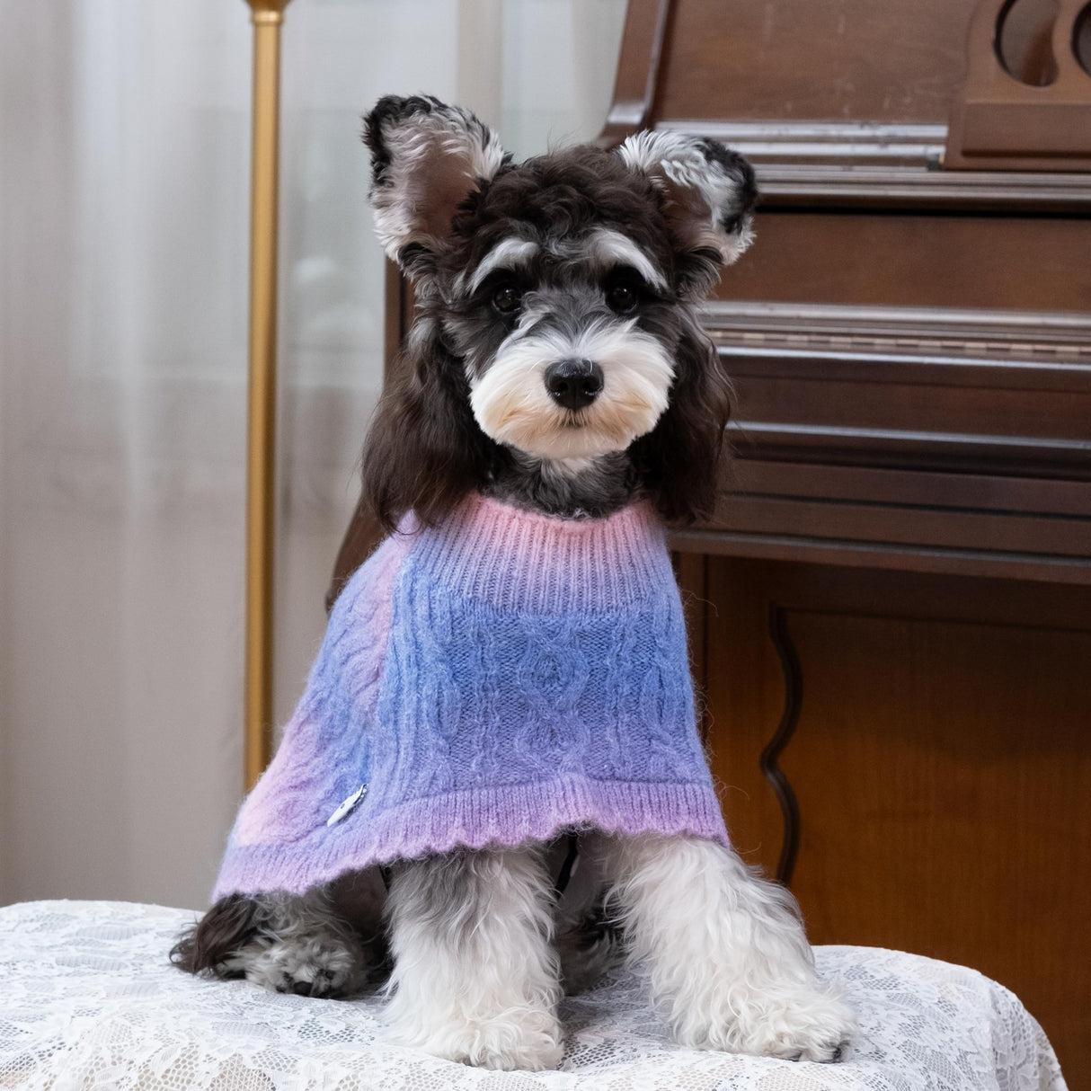 UNIPUP Rainbow Mohair Dog Sweater Cloak, Cold Weather Coat Dog Jacket for Small Dogs, Classic Turtleneck Thick Puppy Clothes with Leash Hole DS93L