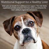 Rx Vitamins Hepato Support for Dogs & Cats - Liver Support Supplement with Milk Thistle - Boosts Liver Detox for Senior Pets - 90 ct