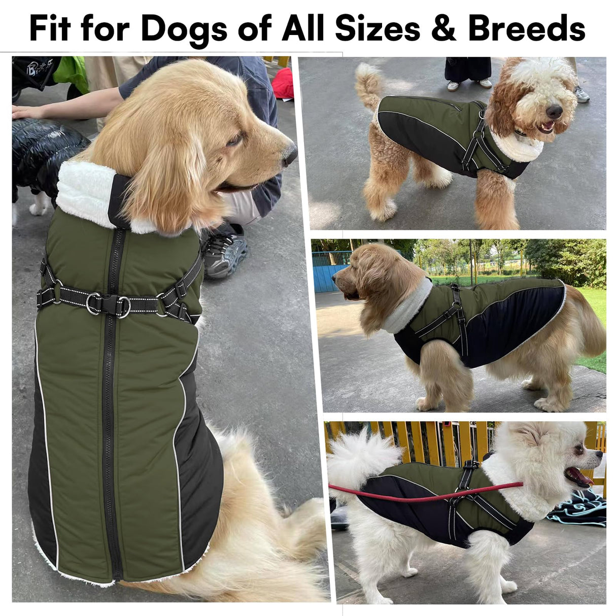Queenmore Medium Dog Jacket with Harness Built-in, Winter Coat for Medium Dogs, Warm Puffer Jacket, Cold Weather Snowsuit Parka - Waterproof Fleece Lined Reflective Adjustable, Green/Black M