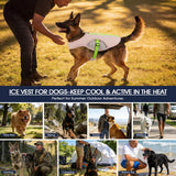 IECOii Dog Cooling Vest for Summer, Lightweight Breathable Dogs Cooler Shirt with Leash Ring, Adjustable Cool Jacket Reflective Pet Cooling Harness for Outdoor Walking, Hiking, Beach, Pink, Size M