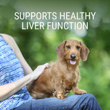 Nutramax Denosyl Liver and Brain Health Supplement for Medium Dogs - With S-Adenosylmethionine (SAMe), 30 Tablets