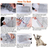 KOCASO Large Live Animal Trap Cage, Foldable Heavy Duty Humane Rat Trap for Indoor and Outdoor, Metal Mouse Trap for Squirrel Gopher Chipmunk Mice Raccoon, Easy to Catch and Release, 31"x11"x12"