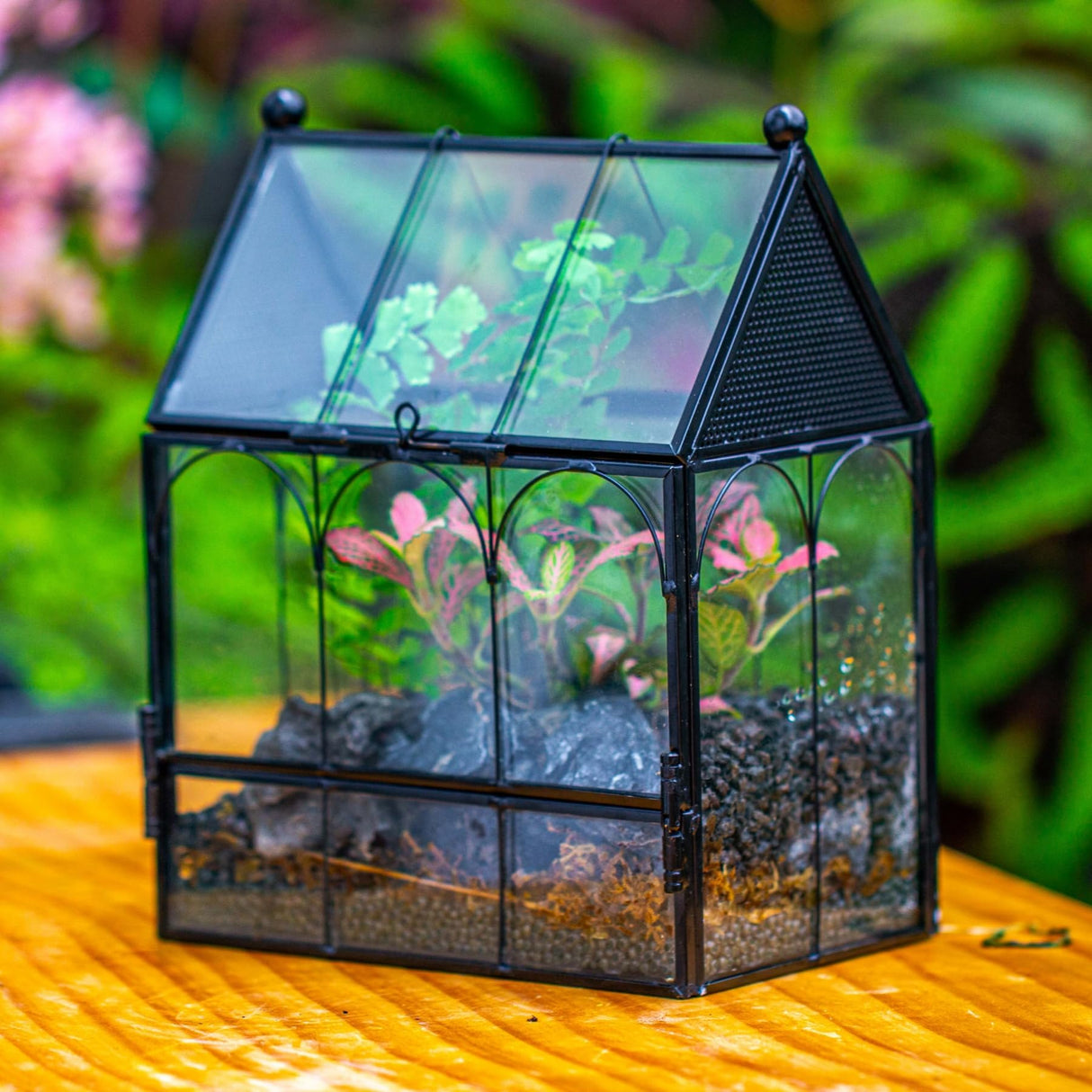 NCYP Small Glass Terrarium Enclosure with Mesh for Jumping Spiders, Micro House Shaped Succulent Plants Terrarium, Home Decor Black, 5.8" x 3.8" x 7" (No Plants)