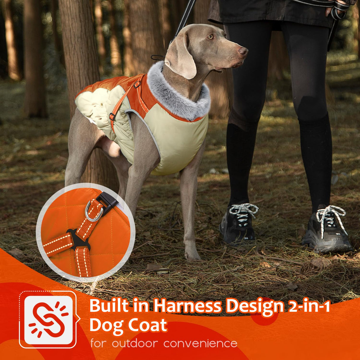 Abuandi Dog Winter Coat with Harness, Dog Jacket, Pet Clothes with Zipper on Back, Waterproof Windproof Warm Vest, Reflective Cold Weather Coats, for Small Medium Large Dogs, Thick, Orange, XS