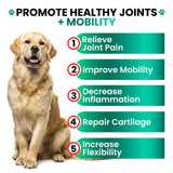 Hemp Hip and Joint Supplement for Dogs - Glucosamine for Dogs - 170 Joint Pain Relief Treats - Chondroitin, MSM, Hemp Oil - Advanced Health Supplement - Mobility Support Chews - Made in USA