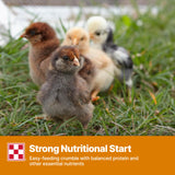 Purina Start and Grow | Non-Medicated Chick Feed Crumbles | Nutritionally Complete - 5 Pound (5 lb) Bag