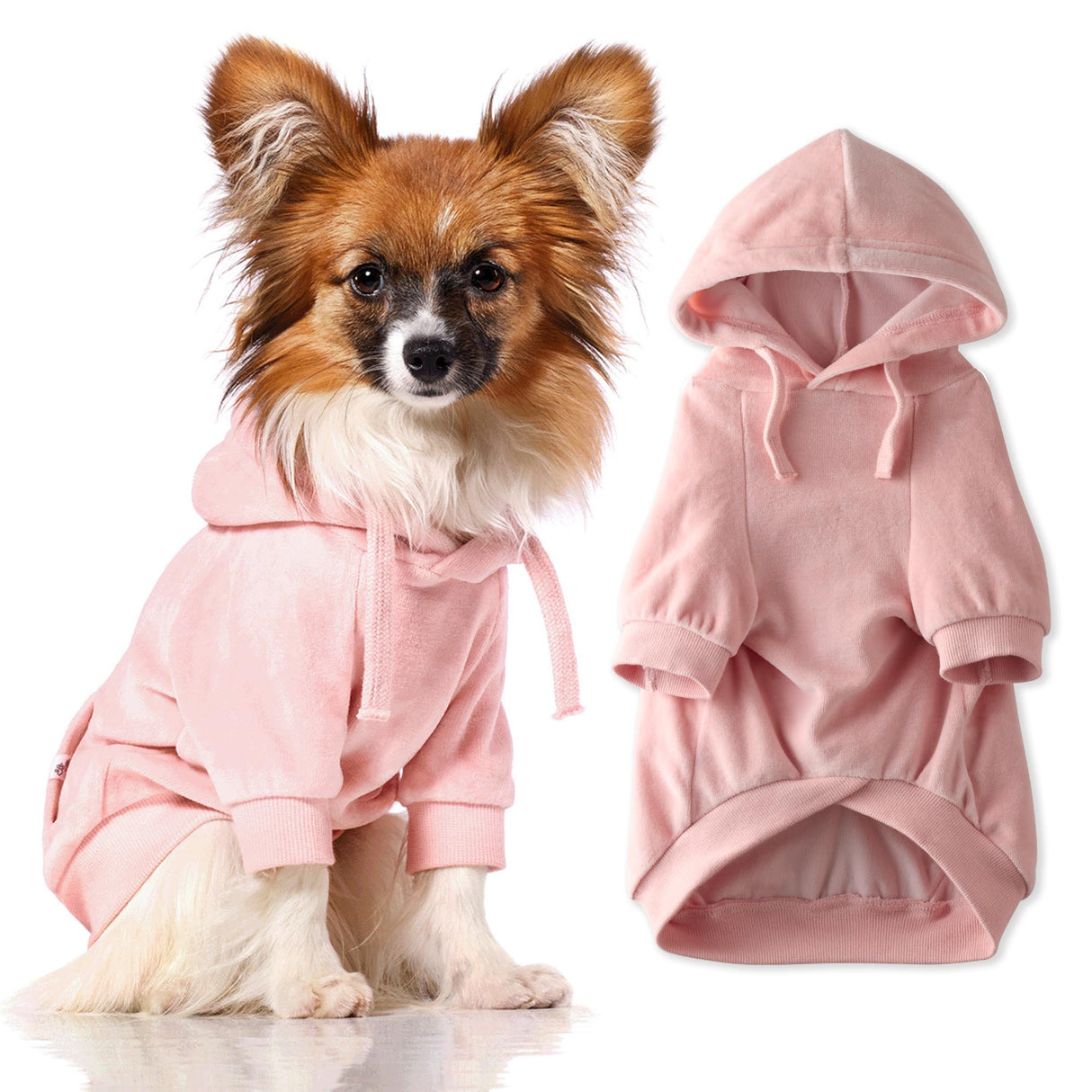 Pet Passion Velour Dog Pet Hoodie Coat for Small, Medium and Large Dogs, Pink, XX-Small