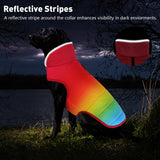 Petglad Dog Winter Coat, Waterproof Dog Jacket with Leash Hole, Reflective Adjustable Pet Snow Vest, Warm Fleece Sweater for Small Medium Large Dogs - Rainbow, S