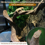Reptile Decor 4PCS Natural Forest Branch Terrarium Habitat Driftwood Decoration Lizard Climbing Tree Branch for Bearded Dragon Gecko Snake Frog Chameleon Spider