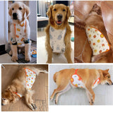 Harikaji Dog Belly Cover, Cat Recovery Suit Pet Abdominal Protective Clothing Washable Dog Bellyband Dog Recovery Suit(Male Blue,L)