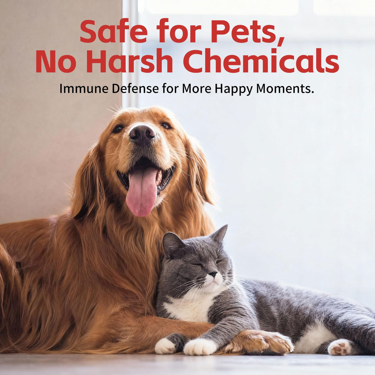 Dog Wart Remover - Turkey Tail Mushroom for Dogs - Lipoma Treatment for Dogs - Lumps and Bumps Supplement - Immune Support with L-Lysine, Zinc, Taurine, Selenium, Anthocyanins