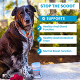 PawMedica Dog Anal Gland Chews to Stop Scoot for Dogs - Anal Gland Dog Constipation Relief - Recommended Dog AnalGland Support Chews Fiber - Fiber Supplement for Dogs (120 Dog Pumpkin Chews)